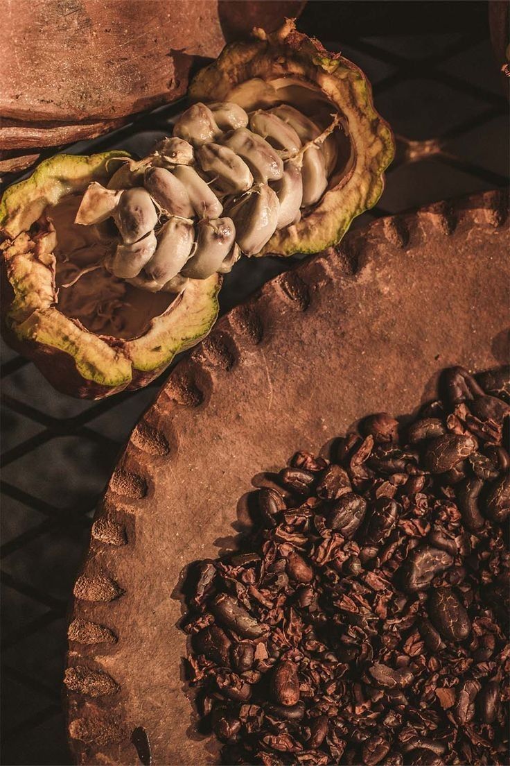 Raw cacao beans and unrefined chocolate mass