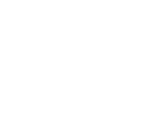 StayYoung logo